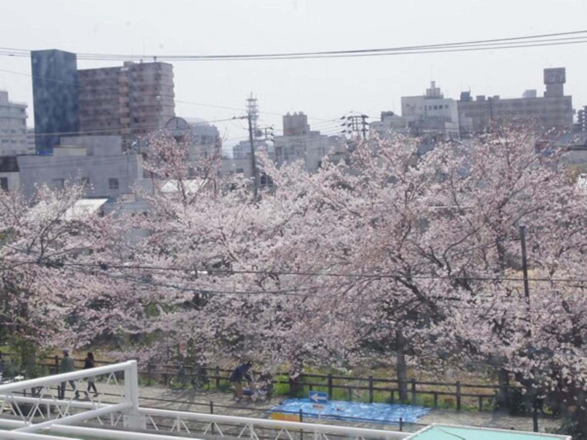 Tottori City Hotel / Vacation Stay 81359 エクステリア 写真